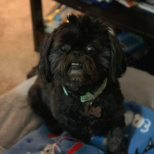 Meet your Posher, Rhonda